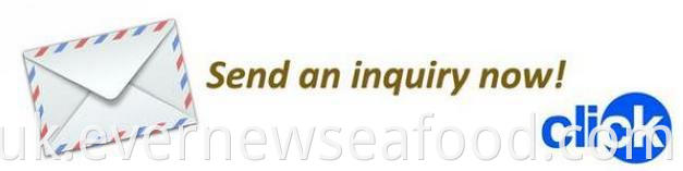 Маленький восьминіг, заморожений цілий очищений восьминіг